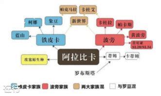 從咖啡香氣到創業藍圖 樓波音的孵化器管理智慧